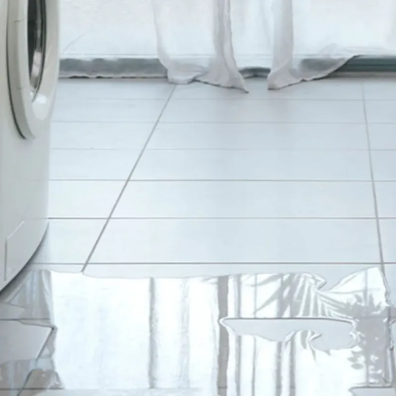 Appliance Leak Cleanup in Napoleon, OH