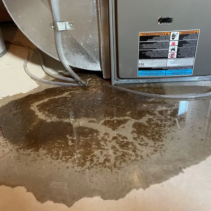 Pipe Burst and Leak Restoration in Napoleon, OH